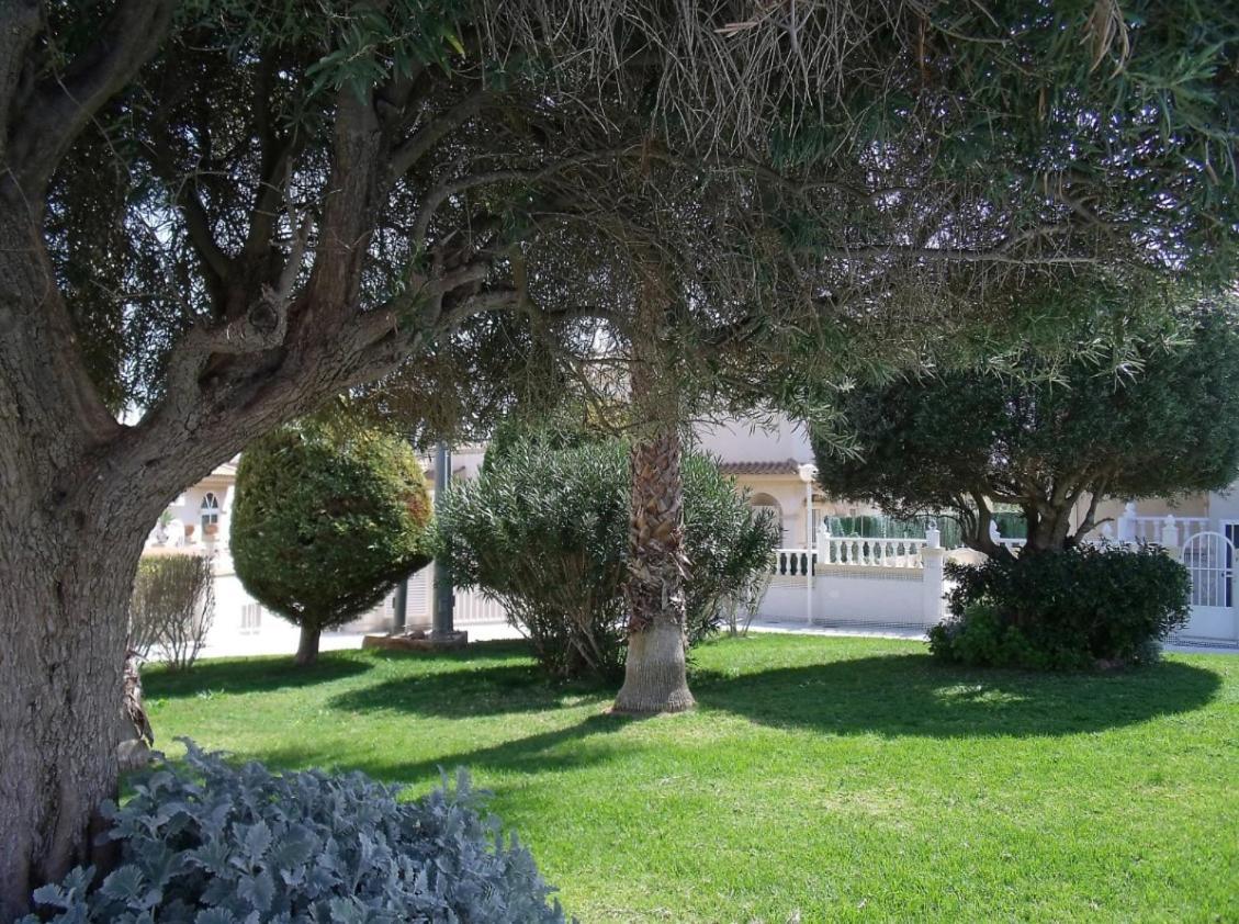 Maravillosa Terraza Con Vistas Al Mar, La Mata 또레비에하 외부 사진